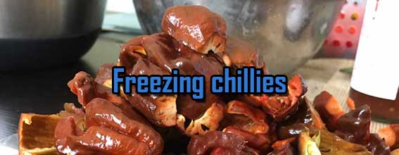freezing chillies